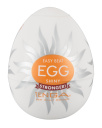 505854 Set TENGA Easy Beat Egg SHINY stronger