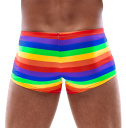 21331649701 Pánske boxerky