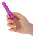 5003601 Žartovné mini penisy Addiction Silly Willy 12 ks 